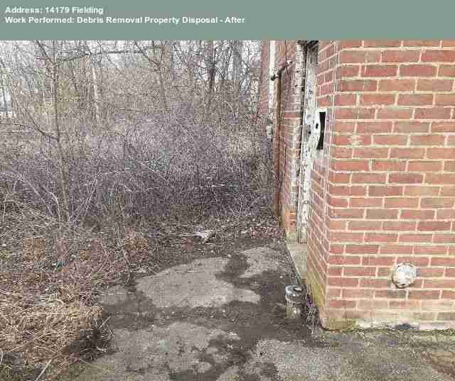 Testing again(65).jpg